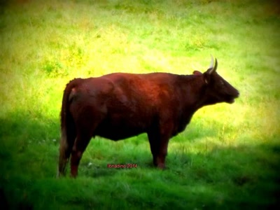 Œuvre de bnadine: je ne suis pas bien là ? :)