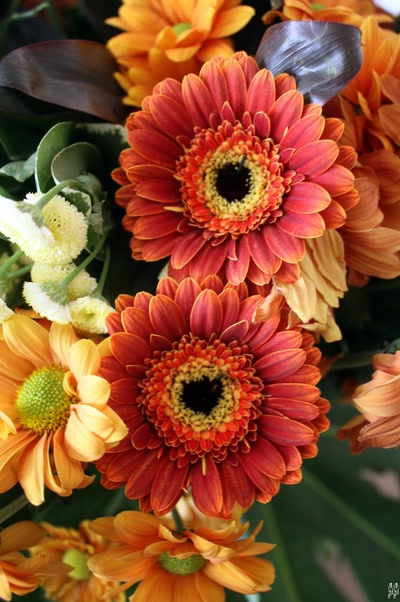 Œuvre de GiGine: Bouquet