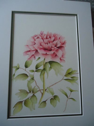 Œuvre de marie: pivoine "rimpou"