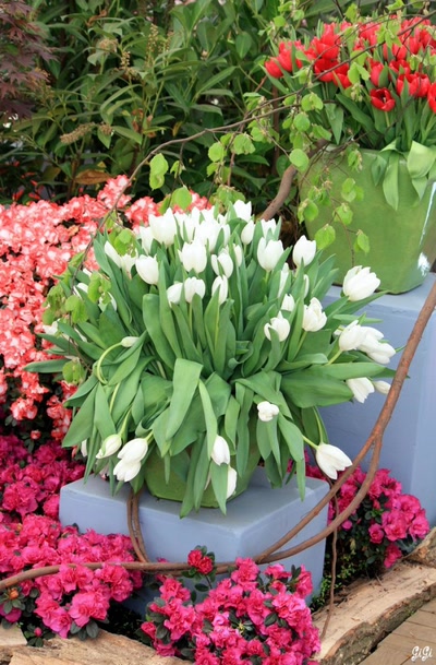 Œuvre de GiGine: Composition florale