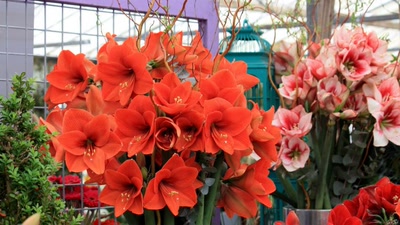 Œuvre de GiGine: Composition florale