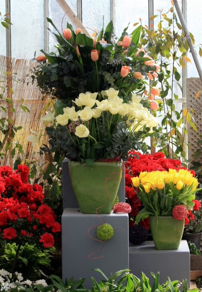 Résultat de recherche: Fleurs, fleurs, fleurs....