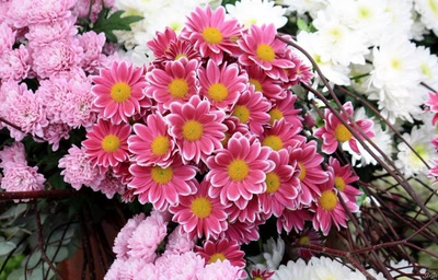 Œuvre de GiGine: Pour le weekend....