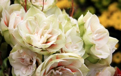 Œuvre de GiGine: Pour le weekend....