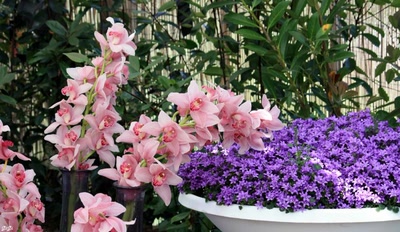 Œuvre de GiGine: Journée fleurie