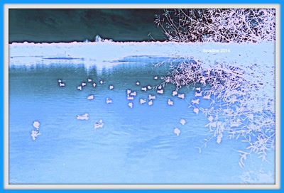 Œuvre de bnadine: quand la nature devient magique !:)