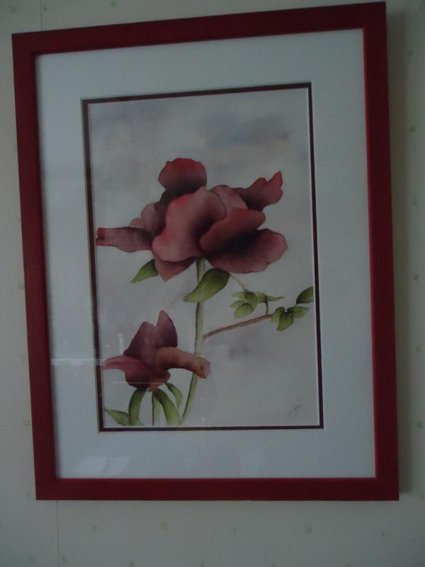 AQUARELLE "KOKURYU NISHIKI"