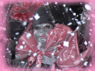 Beauté cachée - Carnaval de Limoux (11)