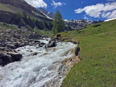 Œuvre de Ecrins Passion: Torrent de Montagne dans la Vallée de Freissinière