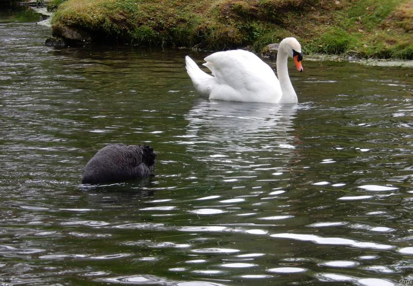 Annevoie : son château, ses jardins, ses costumés 