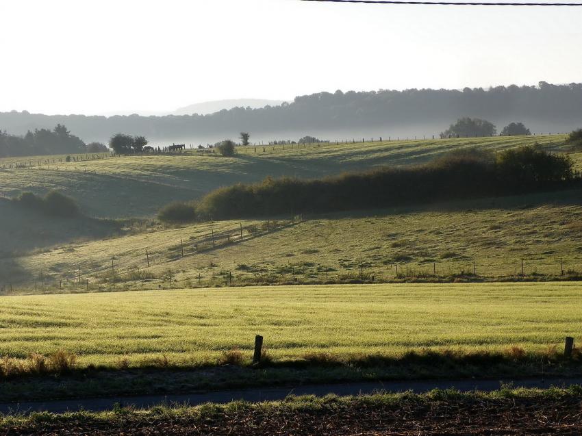 Le calme du début du jour.