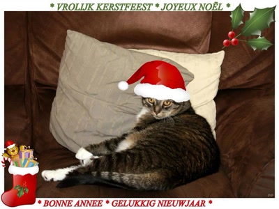 Joyeuses Fêtes et Heureuse Année 2016