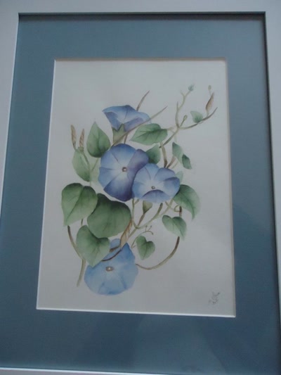 Œuvre de marie: bouquet de volubilis