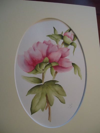 Œuvre de marie: PIVOINE 